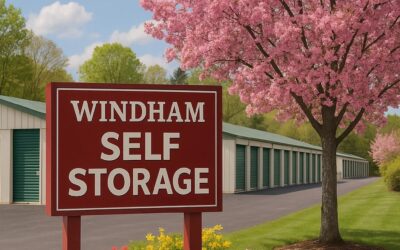 Spring Cleaning & Decluttering
